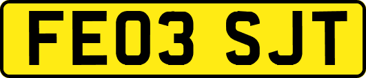 FE03SJT