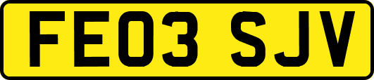 FE03SJV