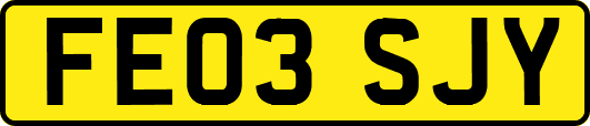 FE03SJY