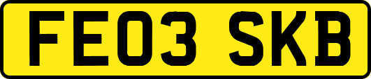 FE03SKB