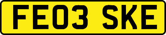 FE03SKE