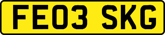 FE03SKG