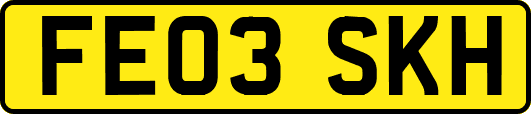 FE03SKH