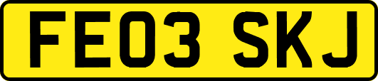 FE03SKJ