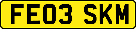 FE03SKM