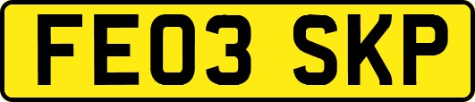 FE03SKP