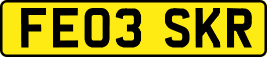 FE03SKR