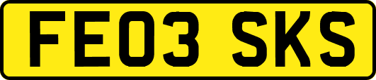 FE03SKS