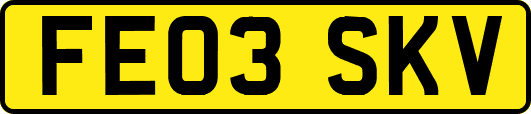 FE03SKV