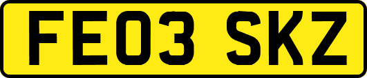 FE03SKZ