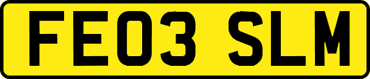 FE03SLM