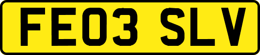 FE03SLV
