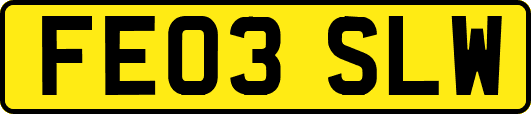 FE03SLW
