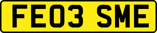 FE03SME