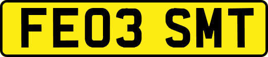 FE03SMT