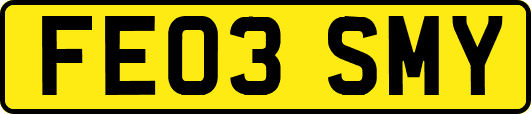 FE03SMY