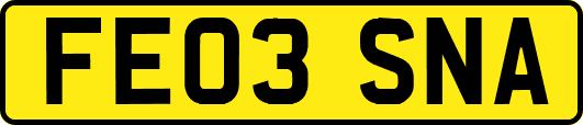 FE03SNA