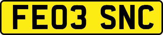 FE03SNC