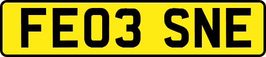 FE03SNE