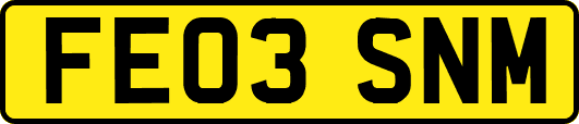 FE03SNM
