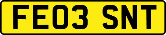 FE03SNT
