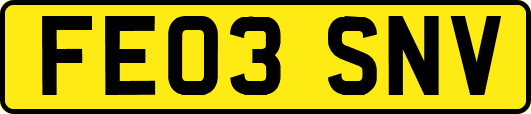 FE03SNV