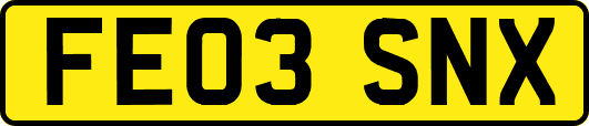 FE03SNX