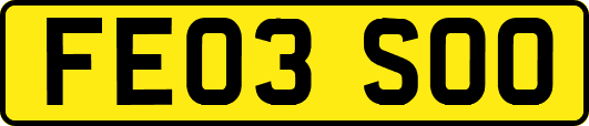 FE03SOO