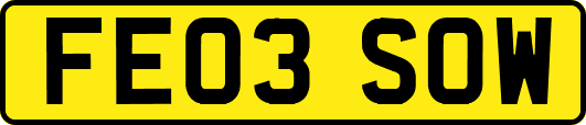 FE03SOW