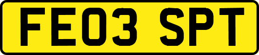 FE03SPT