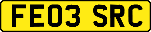 FE03SRC