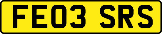 FE03SRS