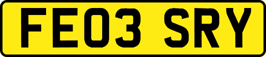 FE03SRY