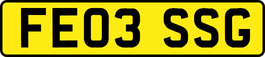 FE03SSG