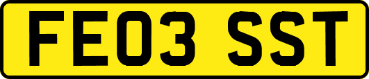 FE03SST