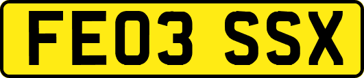 FE03SSX