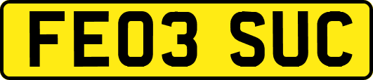 FE03SUC