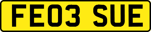 FE03SUE