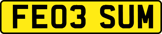 FE03SUM