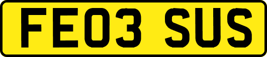 FE03SUS