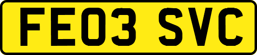 FE03SVC