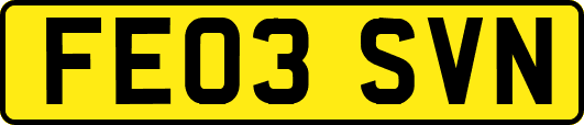 FE03SVN