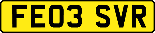 FE03SVR