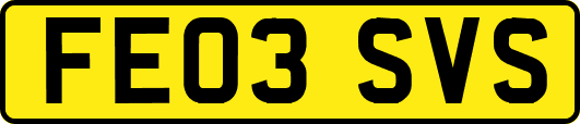 FE03SVS