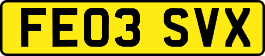 FE03SVX