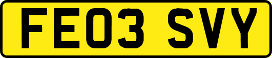 FE03SVY