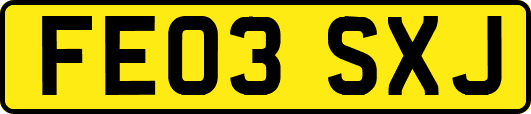 FE03SXJ