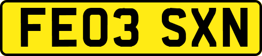 FE03SXN