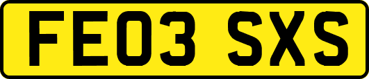 FE03SXS