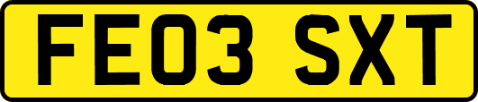 FE03SXT